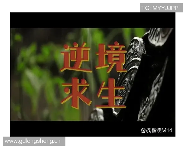 海兰德:在艰难环境中成长的我始终保持准备人生的每一个挑战